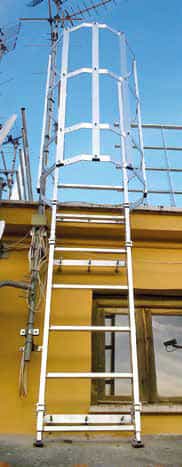 CAGE LADDERS AND LADDER HOOKS